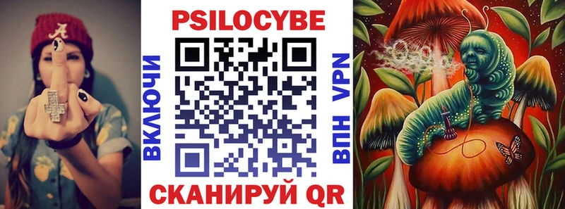 закладки  Полтавская  Псилоцибиновые грибы Magic Shrooms 